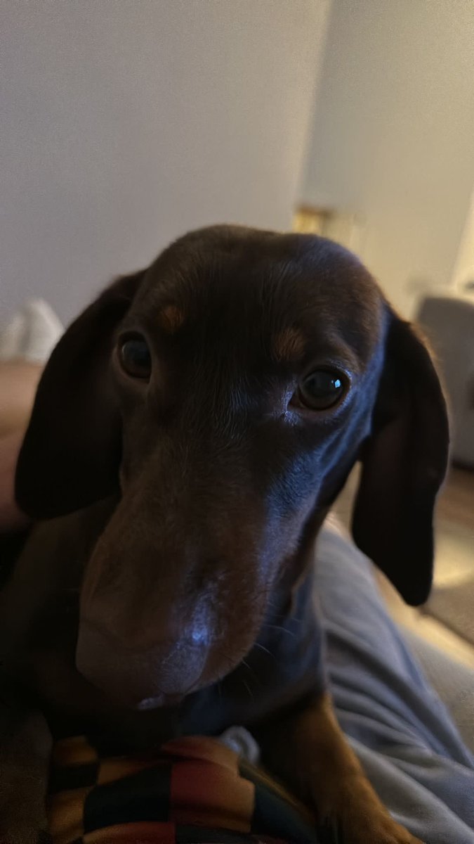 libbymann's tweet image. 