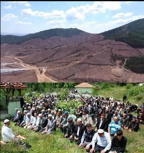 Cehalet öyle pis bir şeydir ki; Ormanları kestirir sonra da yağmur yağsın diye yağmur duası ettirir...