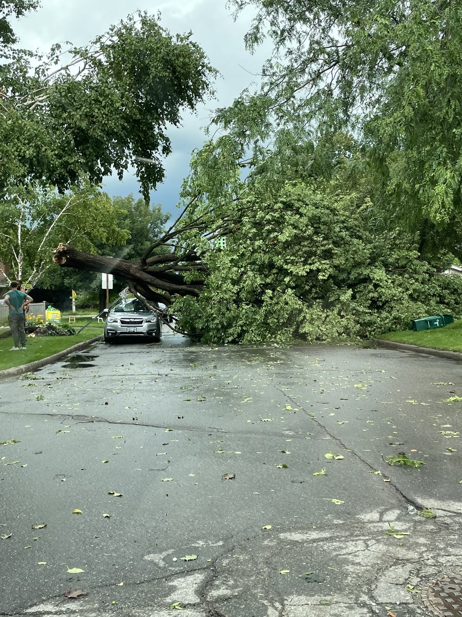 auratopic's tweet photo. Maybe a little tornado or microburst here in Ottawa, On. #NTPreports https://t.co/zKo9EVNKqS
