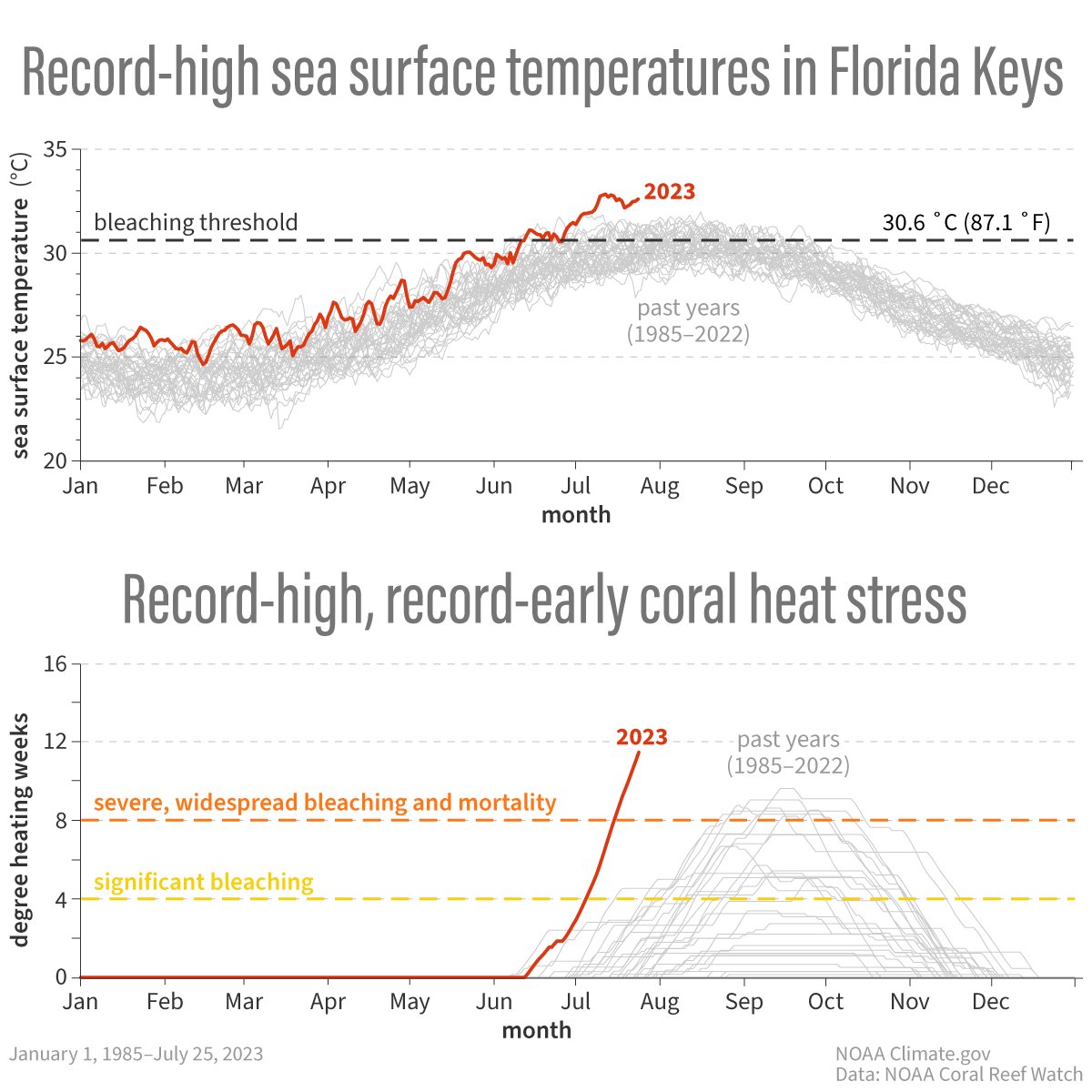 The current heat stress in Florida has not been this high this early in the season since satellite records began in 1985.
Learn about measures to protect, relocate, and “bank” live fragments of coral to help Florida’s Coral Reef survive this heat crisis.
climate.gov/news-features/…