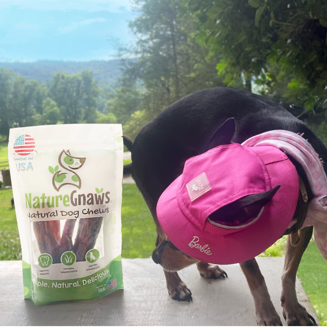 NatureGnaws's tweet image. 🌸 💖 Introducing The Outdoor Camping Barbie 💕 who absolutely loves munching on Natural Dog Chews and getting dolled up by @petsupermarket 🌸 🐾

Model 📷 @bluebird_n_littlewing

#barbiemovie #muttsoftwitter #naturegnaws