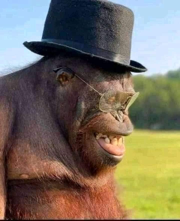 TMasheast's tweet photo. @joepst10 @DrMutambudzi @edmnangagwa https://t.co/zIRVlAVVUv