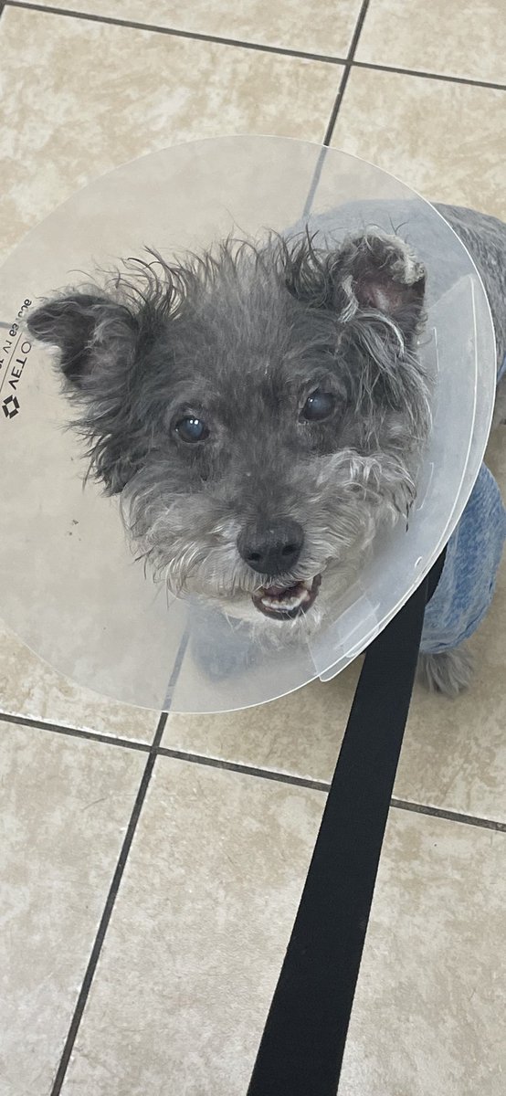 Mr. Mullunigan tweet media