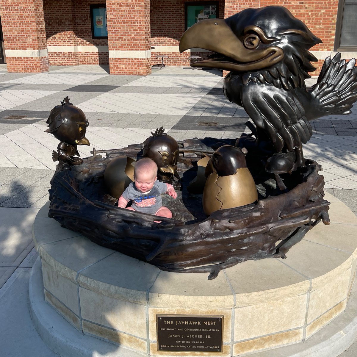 UnivOfKansas's tweet photo. 🐣 A rare sighting of a newly hatched Jayhawk
📷: KU alumni Emily (@emdraeger) and Hunter Senior recently gave their daughter, Evelyn, her first taste of life at KU. Rock Chalk, Evelyn! We hope to see you back in, say, 18 years. 😉 https://t.co/k7eZscDT8v