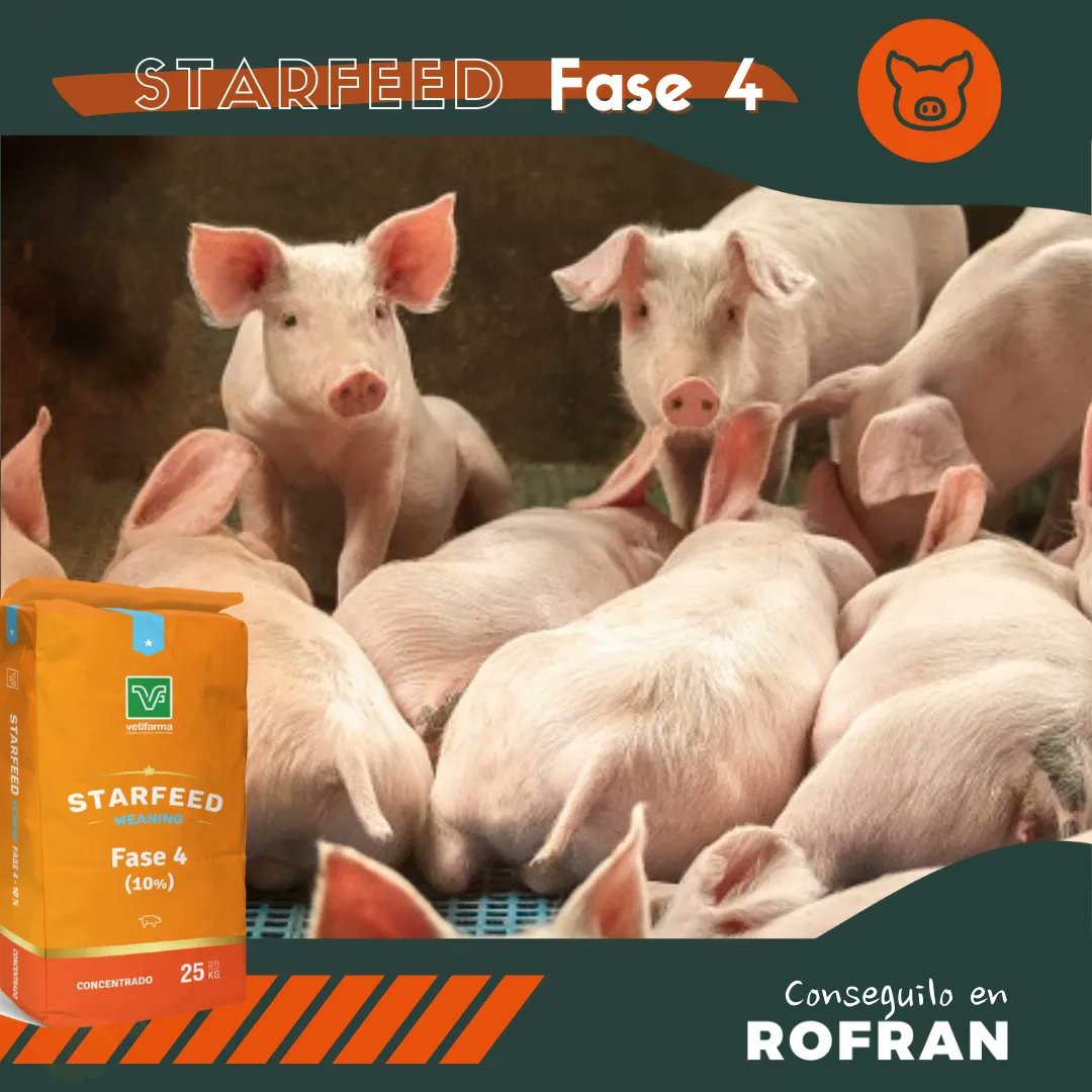 rofran_lp's tweet photo. 🐷Concentrado para la elaboración del alimento fase 4 de lechones.
🌟Starfeed Weaning Fase 4 al 10% es un concentrado que contiene todos los microingredientes necesarios para la elaboración del alimento de iniciación.
#SomosRofean #Starfeed #Vetifarma #Lechones #Porcinos #Cerdos https://t.co/ylK2XHAXQY