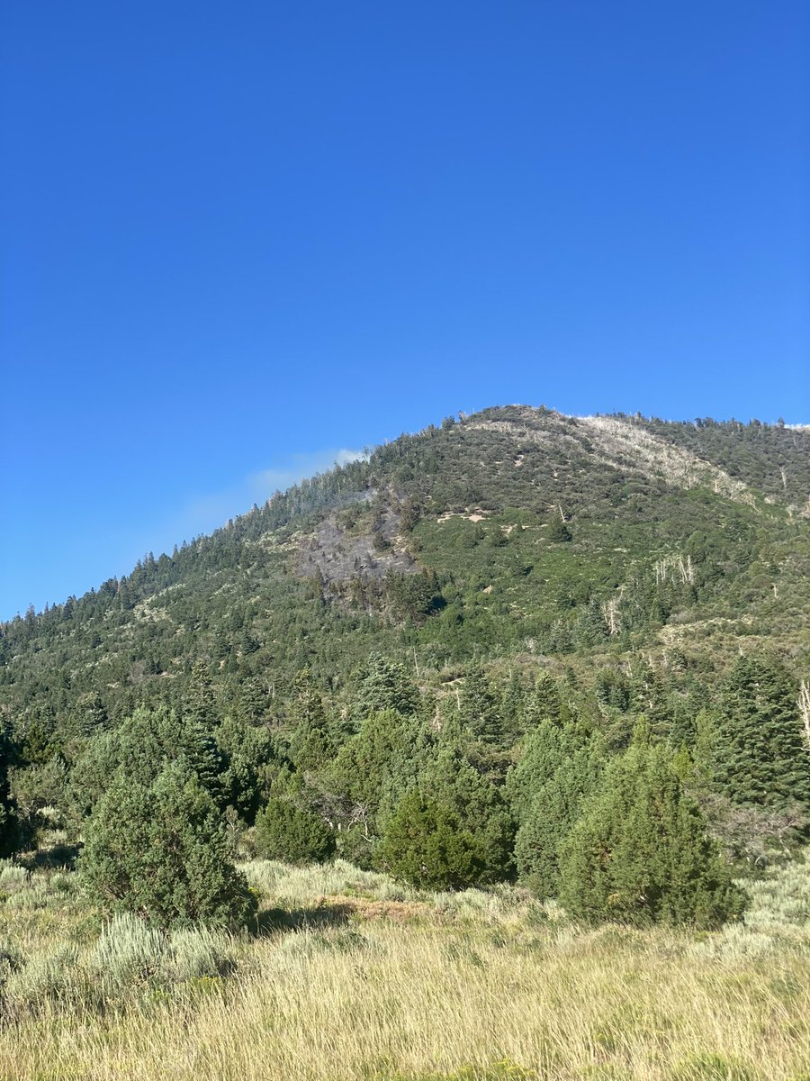 UtahWildfire's tweet photo. New Start: #FishCreekMeadowsFire located about 7 miles SW of Fremont Indian State Park and south of Interstate 70. The 2-acre fire is spreading slowly with some tree torching. Multiple engines and a helicopter are on scene working to contain the fire. #FishlakeNF #CentralUtah https://t.co/eKf8lRrkkM