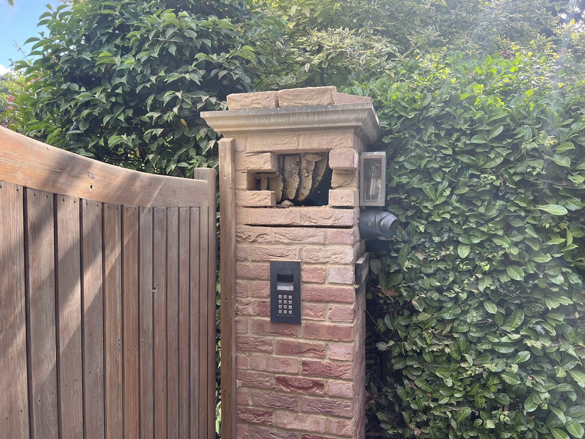 Pest Control Kent (@pesttechltd) on Twitter photo Bees set up home in this gate post so we had to remove them. #beeremoval <a href="/KentBusinesses/">Kent Business Newsletter</a> Bees set up home in this gate post so we had to remove them. #beeremoval <a href="/KentBusinesses/">Kent Business Newsletter</a>