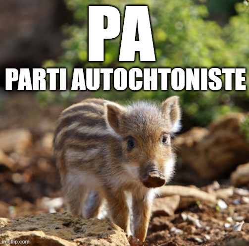 dwengado's tweet photo. Ce vendredi 28 juillet 2023 je crée officiellement (non) le PA, Parti Autochtoniste, composé exclusivement d'autochtone de France sur une ligne autochtoniste. https://t.co/SquS0egpIe