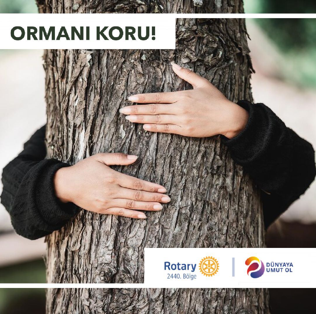 #doğayaumutol
#dünyayaumutol
#ormanıkoru
#doğayımorumagünü