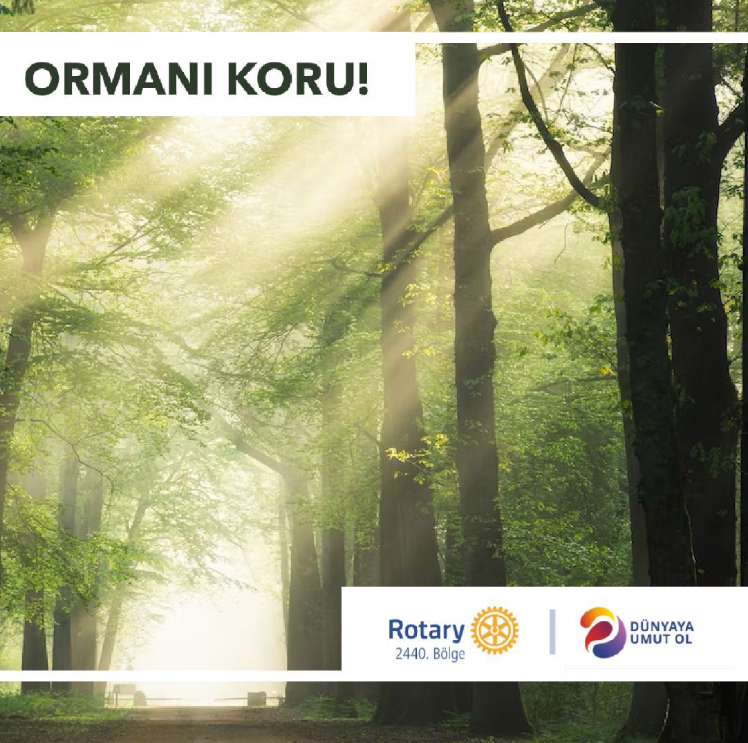 #doğayaumutol
#dünyayaumutol
#ormanıkoru
#doğayımorumagünü