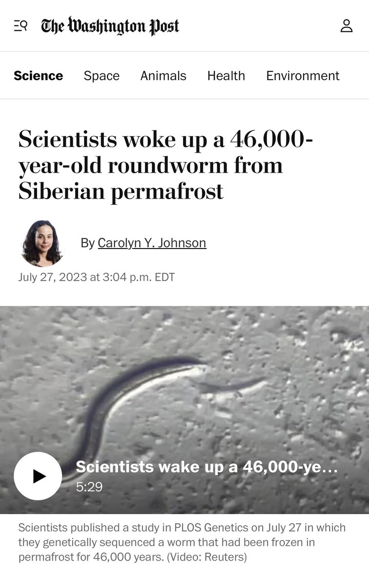 Ummm, crap. A microscopic roundworm that spent 46,000 years frozen 🧊 in suspended animation deep in the Siberian permafrost was revived—and then suddenly started having babies in a laboratory dish. Climate change ==> brings ancient microbes 🦠 back? 
washingtonpost.com/science/2023/0…