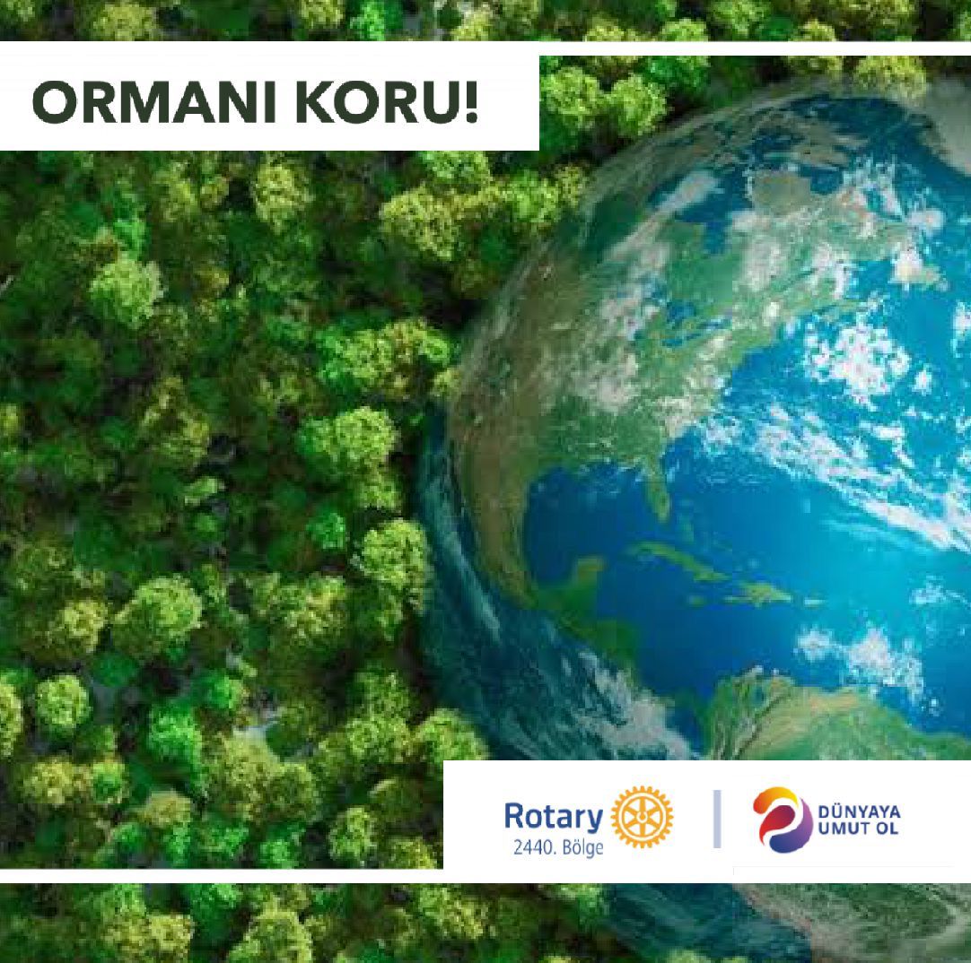 #doğayaumutol
#dünyayaumutol
#ormanıkoru
#doğayımorumagünü