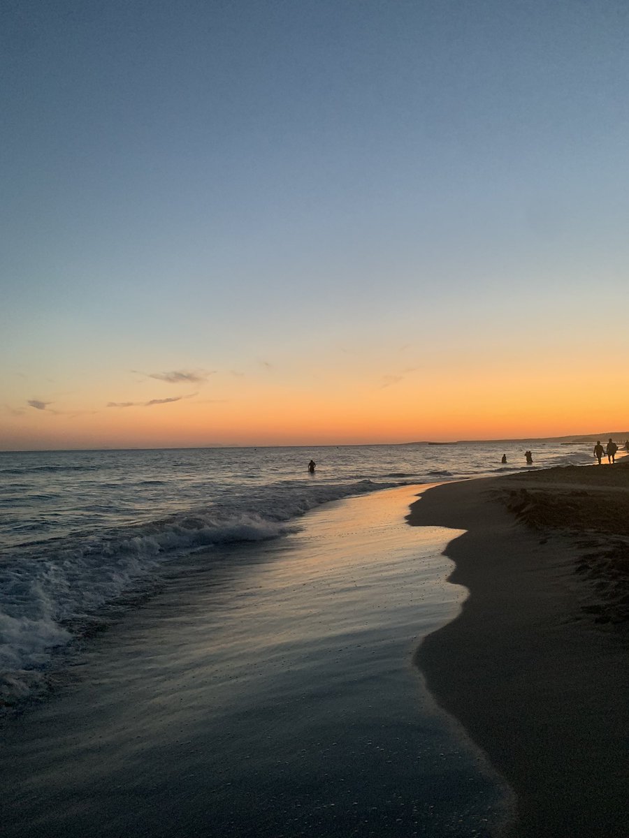 Candelita🎄 tweet media