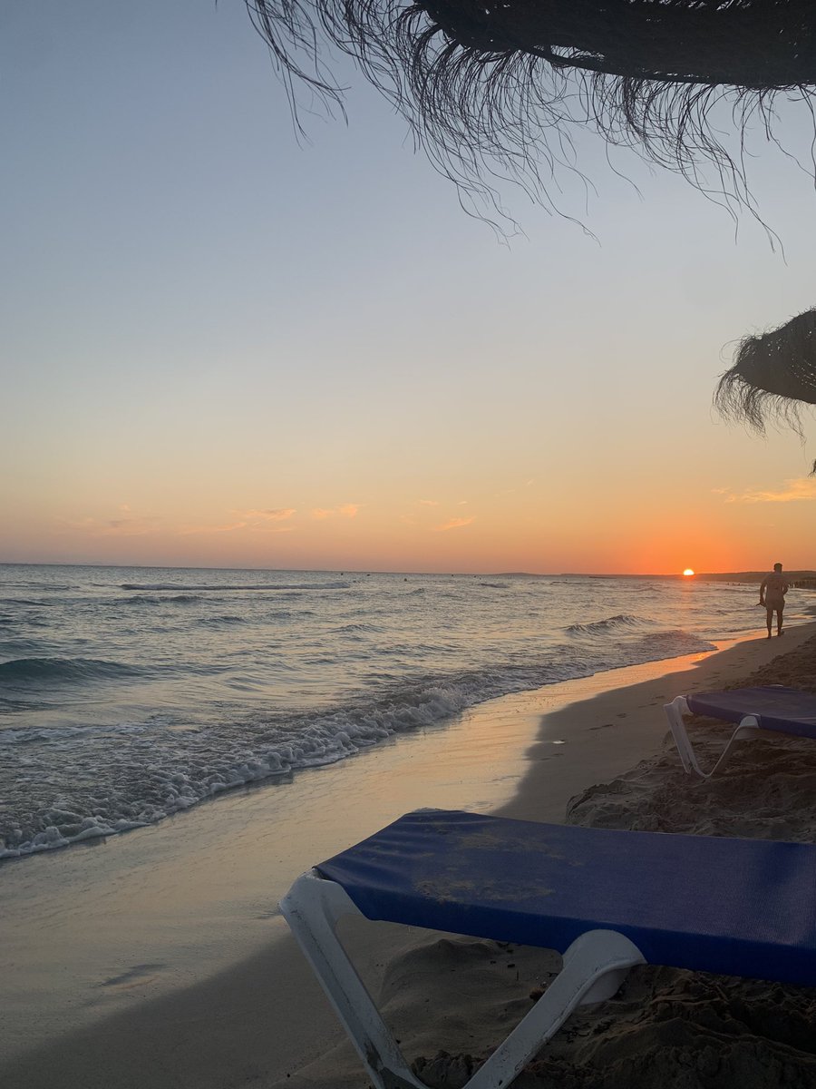 Candelita🎄 tweet media