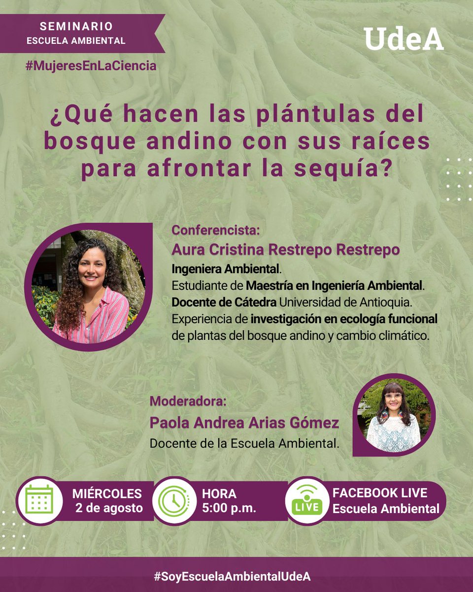 Esc_Ambiental's tweet photo. ¿Te interesan el #CambioClimático y los #BosquesAndinos?

Conéctate a través de Facebook a la sesión de nuestro Seminario, dónde Aura Cristina nos estará contando "¿Qué hacen las plántulas del bosque andino con sus raíces para afrontar la sequía?".

¡Te esperamos! 💚 https://t.co/R63WguT4N7