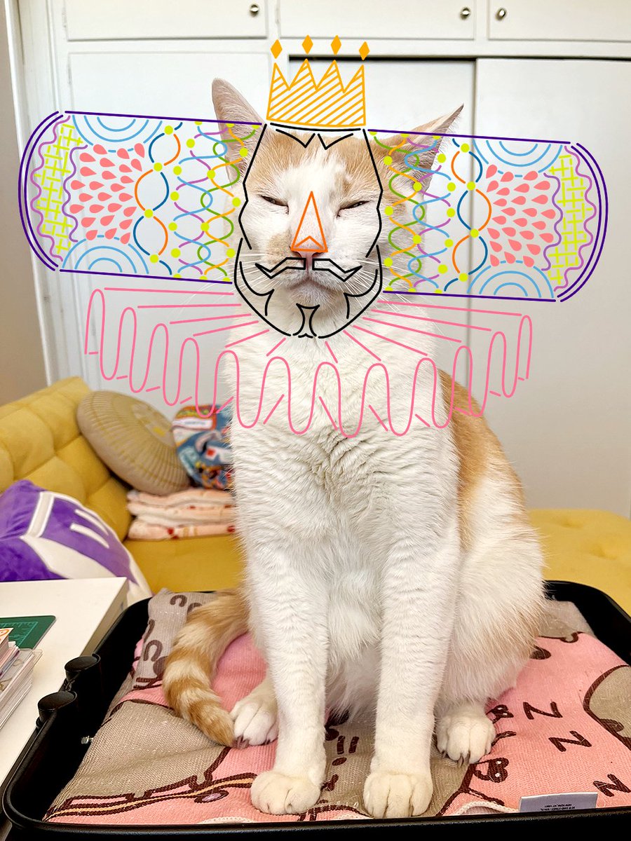 The King of All Cats-mos ✨