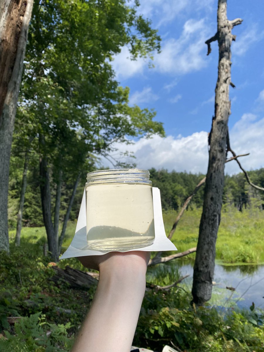 (Some of) This week’s water :