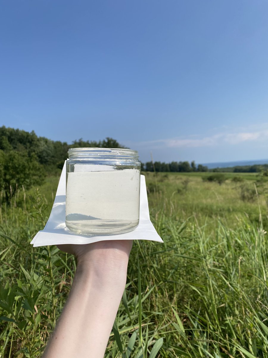 LimnoEllie's tweet photo. (Some of) This week’s water : https://t.co/KpXN4arRQJ