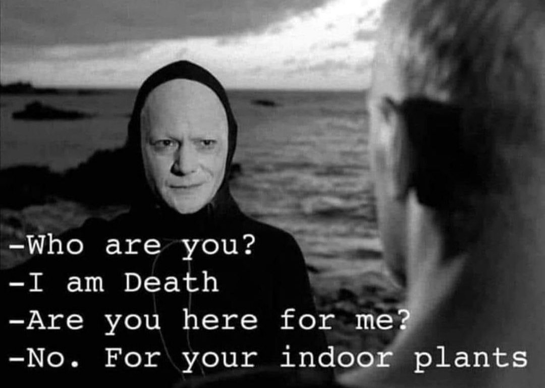 Και έτσι κάπως μας αποχαιρέτησε και το τελευταίο παχύφυτο