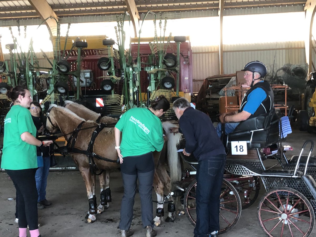 klaasagricola's tweet photo. Was weer een grandioze paardendag in Walterswald /Driezum. Grote waardering voor bestuur, de vele vrijwilligers, sponsoren en deelnemers. https://t.co/so3JkE0Xwh