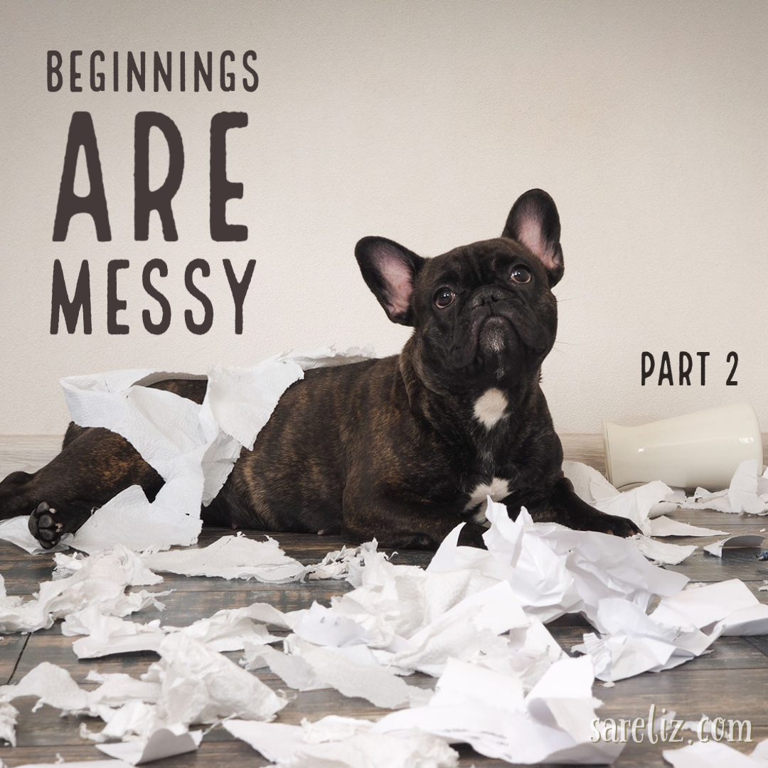 sareliz's tweet photo. Beginnings are messy, and when you’re a writer it’s all documented in all of its painful reality.

https://t.co/nPotVRauh6 https://t.co/m9XaOzL56Q
