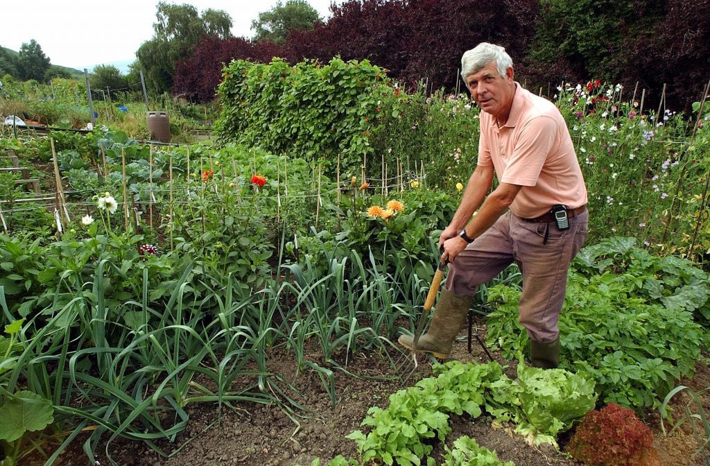 grapevineasks's tweet photo. Just had a listen to the fantastic Fruit and Veg Guru and official @BBCRadio2  allotment keeper @theterrywalton brand new weekly plotcast!! No need to wait for @theJeremyVine to come calling now Just pop along to @BBCSounds and get your weekly fix from the his plot in the Rhonda! https://t.co/8ulYKAUyCY