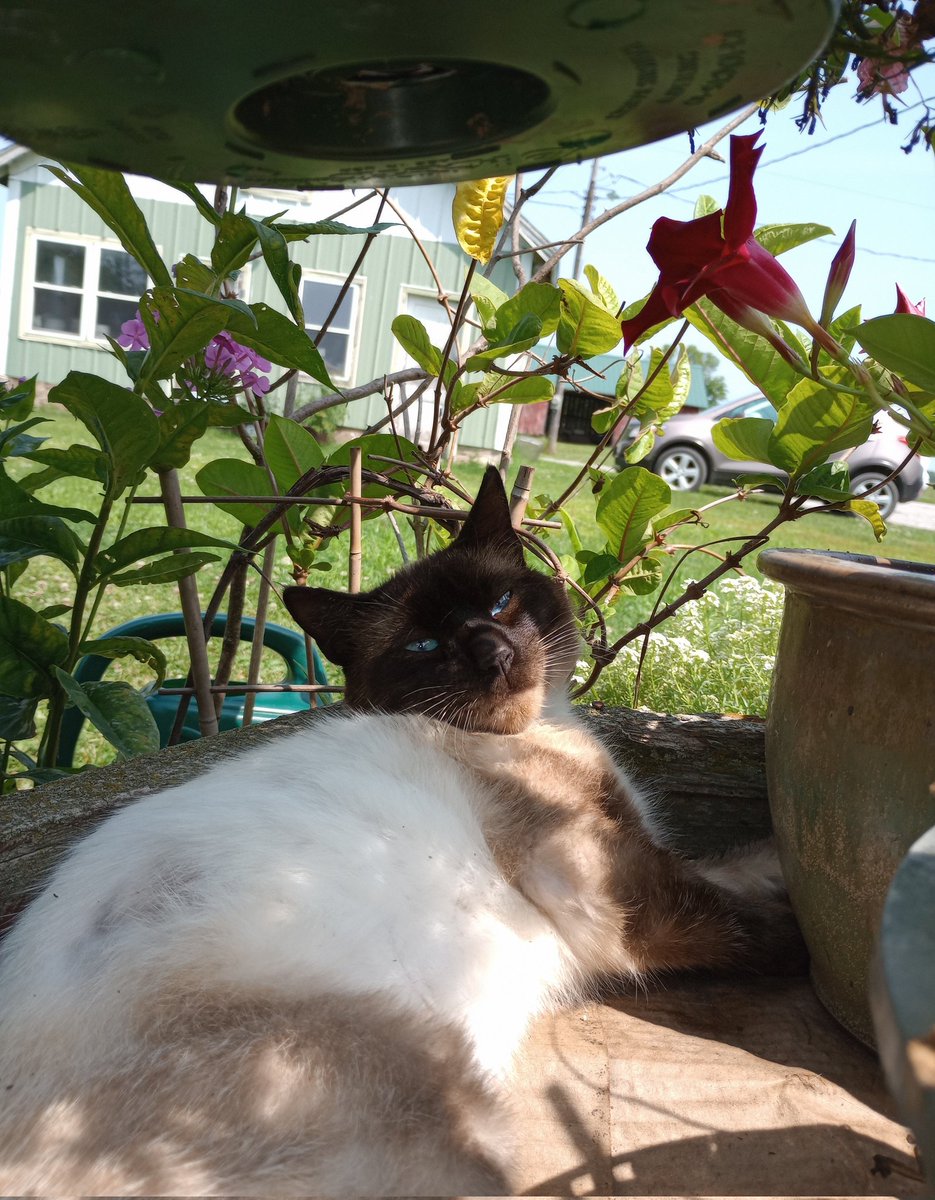 Rivka McArt 🏳️‍🌈 tweet media