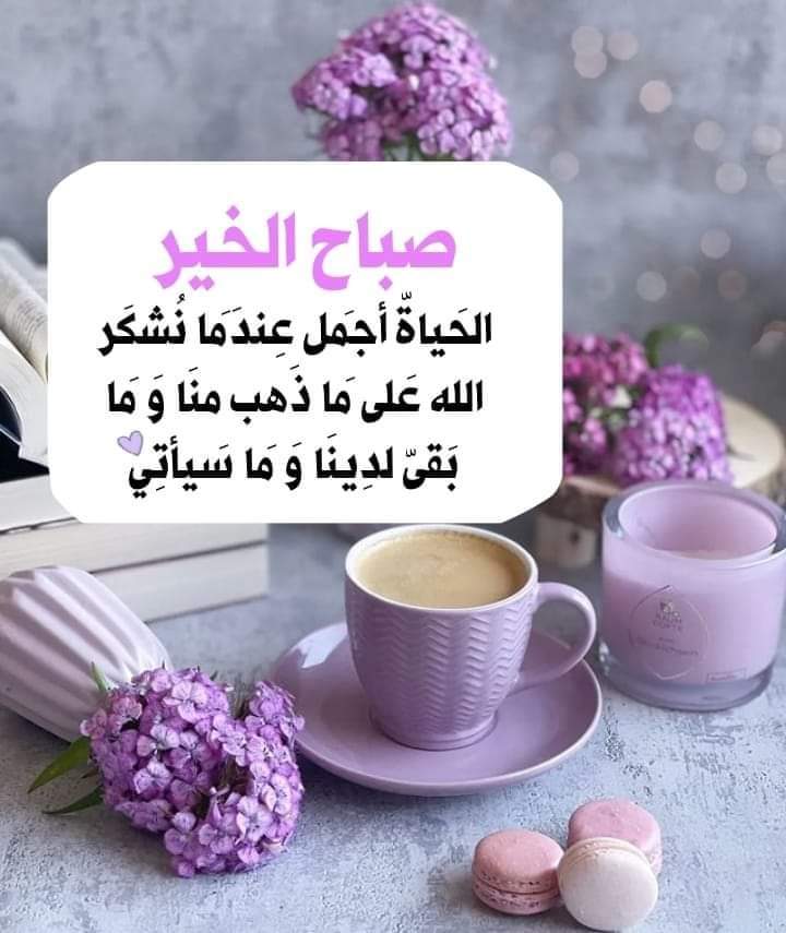 الحَياةّ⁩ أجمَل عِندَمَا نُشكَر الله ؛ عَلى مَا ذَهب منَا ؛ وَ مَا بَقىّ لدِينَا ؛ وَ مَا سَيأتِي.

صباح الخير 🌹