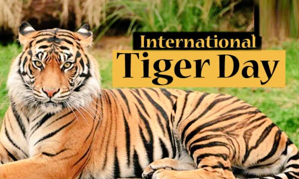 p_baror's tweet photo. Wishing you all a Best - 
International Tiger Day: 29 July

#Tiger
#InternationalTigerDay 
#SavetheTigers
#savingourstripes https://t.co/R7pEgnmsLL