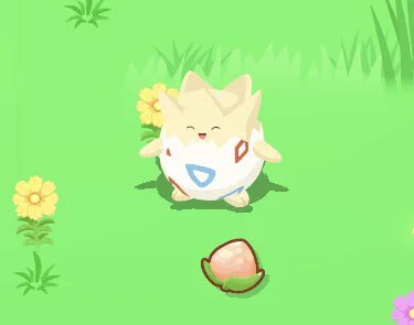 まだ殻がついたままの赤ちゃんなのに木の実を取ってきてくれてる(滝涙) もうそれは君が食べていいよ