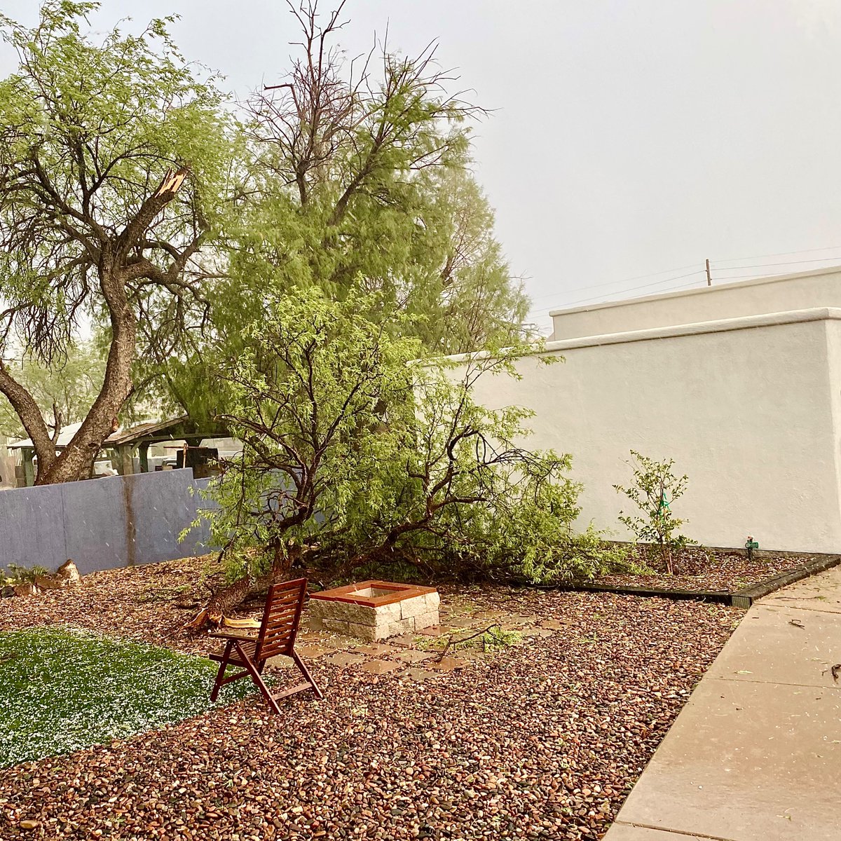 jdmichler's tweet photo. Big hail storm with incredibly strong winds just blew through #WestUniversity in #Tucson https://t.co/XduDCRsUNG