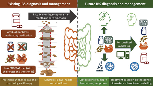 KewinSiah's tweet photo. Essential reading! 🔥 #IBS  – controversies in diagnosis and management by @Prof_NickTalley et al : address some of the controversies surrounding IBS diagnosis and management. 

https://t.co/U3AI9eUbZN

#GITwitter #DGBI https://t.co/GWNKVQkehs