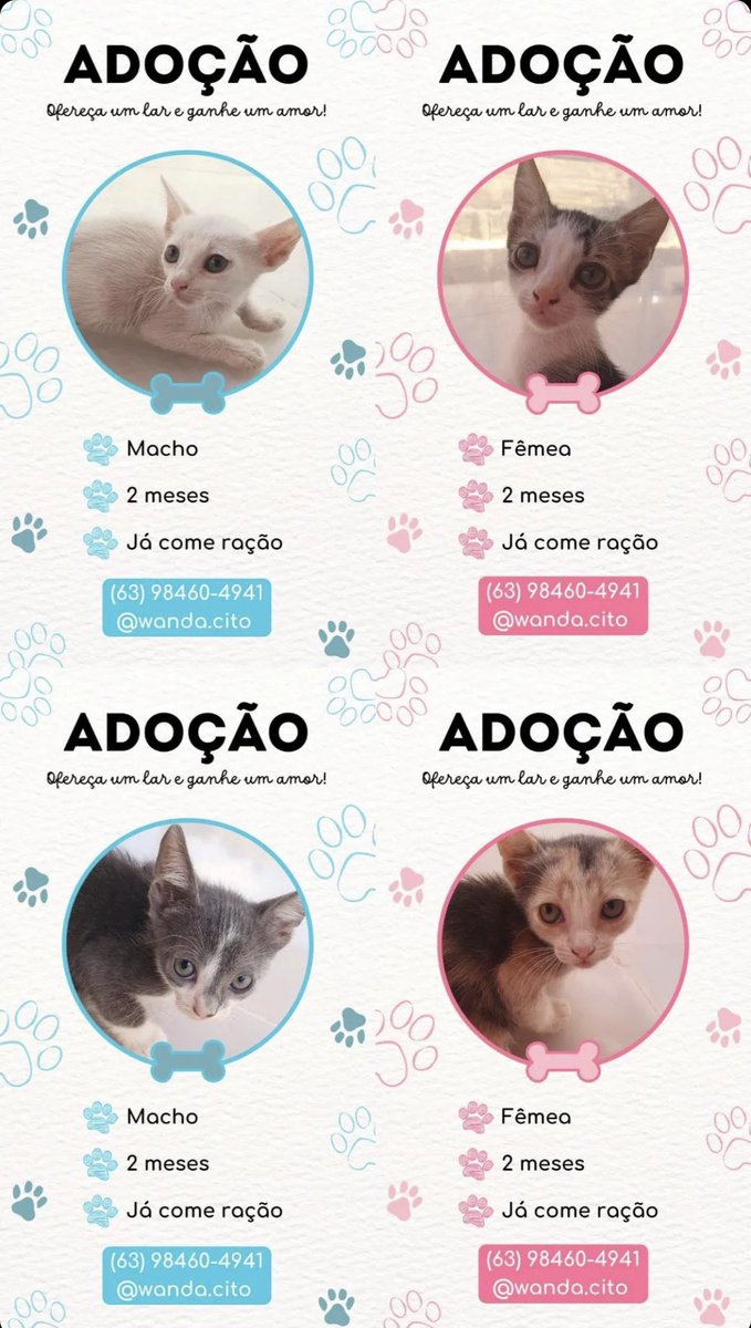 RT pela vida dos gatinhos

Esses quatro bebês estão precisando de um lar, se vc conhece alguém ou quer ter um coleguinha independente e lindo em casa, mande os contatos ou uma mensagem! 

Ande ande