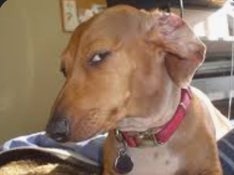 Slippin Jimmy tweet media