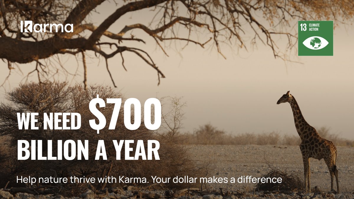 Karma tweet media