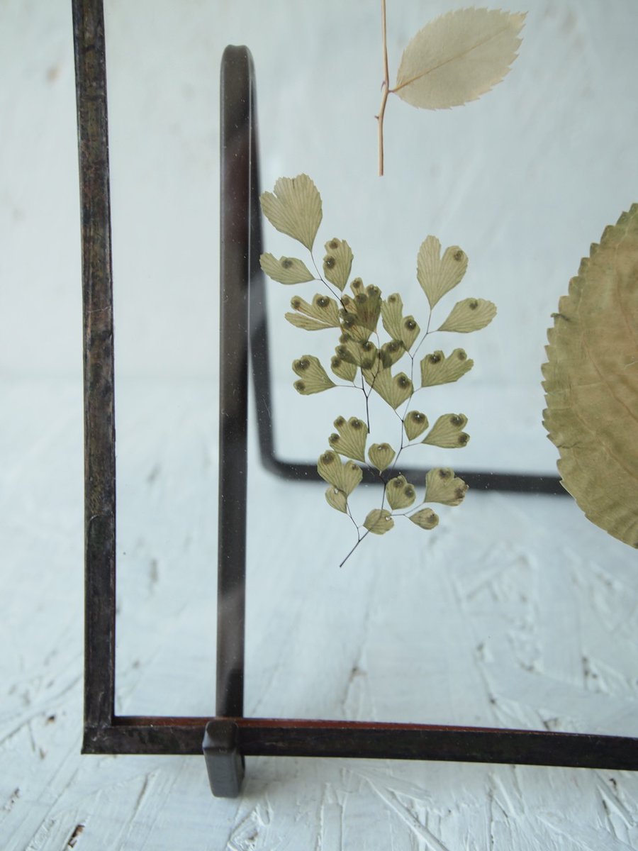 【First &amp; Final SALE（by HACOMIDORI）】 
 【pick up】植物絵画 "leaf" series（a,b）.

  *こちらイベントに伴い、特価にてご紹介させて頂いております。
 *通販でご購入希望の方は、DM・リプライにてお問い合わせ下さい。 
*時間差で完売している場合も御座います、予めご了承下さい。
