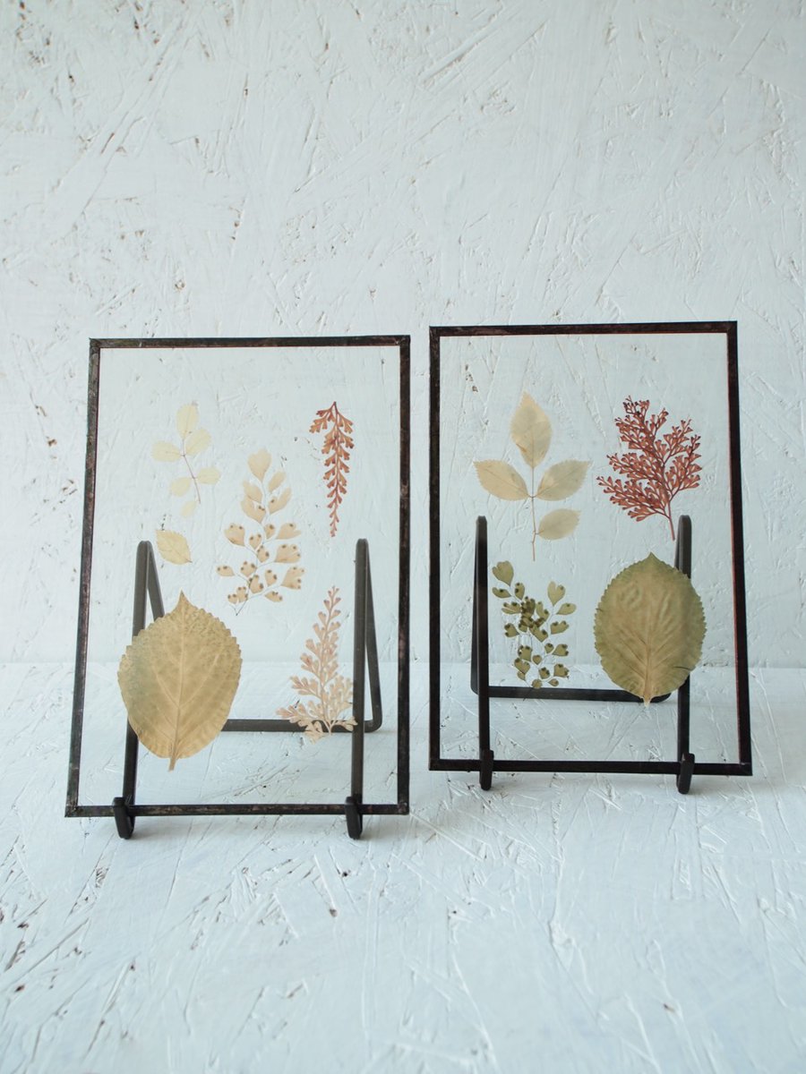 fronowhere's tweet photo. 【First &amp; Final SALE（by HACOMIDORI）】 
 【pick up】植物絵画 "leaf" series（a,b）.

  *こちらイベントに伴い、特価にてご紹介させて頂いております。
 *通販でご購入希望の方は、DM・リプライにてお問い合わせ下さい。 
*時間差で完売している場合も御座います、予めご了承下さい。 https://t.co/ozv6H6P0Uf
