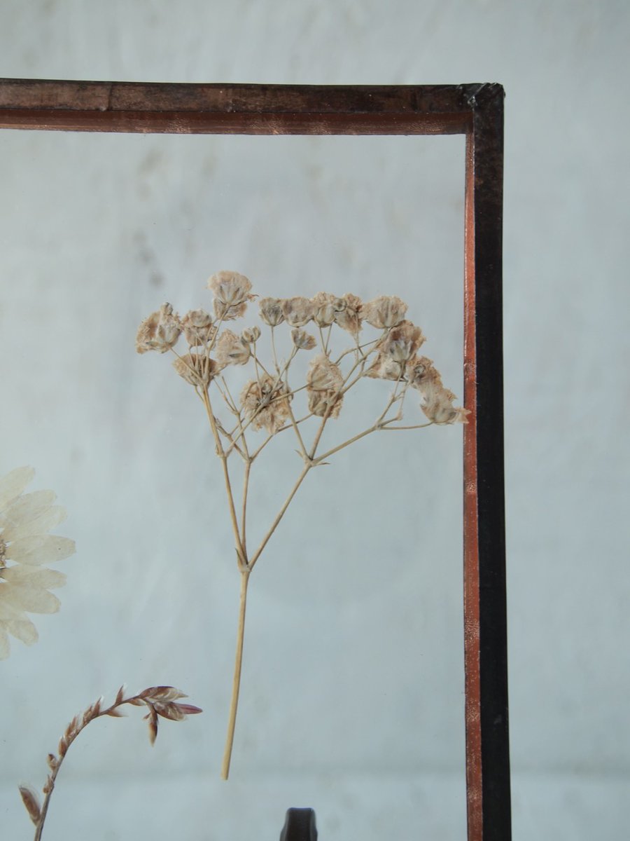 fronowhere's tweet photo. 【First &amp; Final SALE（by HACOMIDORI）】
【pick up】植物絵画 "花畑"

*こちらイベントに伴い、特価にてご紹介させて頂いております。
*通販でご購入希望の方は、DM・リプライにてお問い合わせ下さい。
*時間差で完売している場合も御座います、予めご了承下さい。 https://t.co/ZR9YK6k426