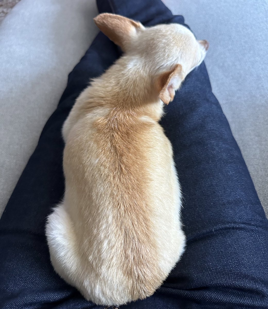 motifsinthecity.bsky.social tweet media