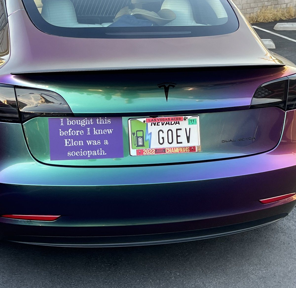 spotted in downtown Las Vegas