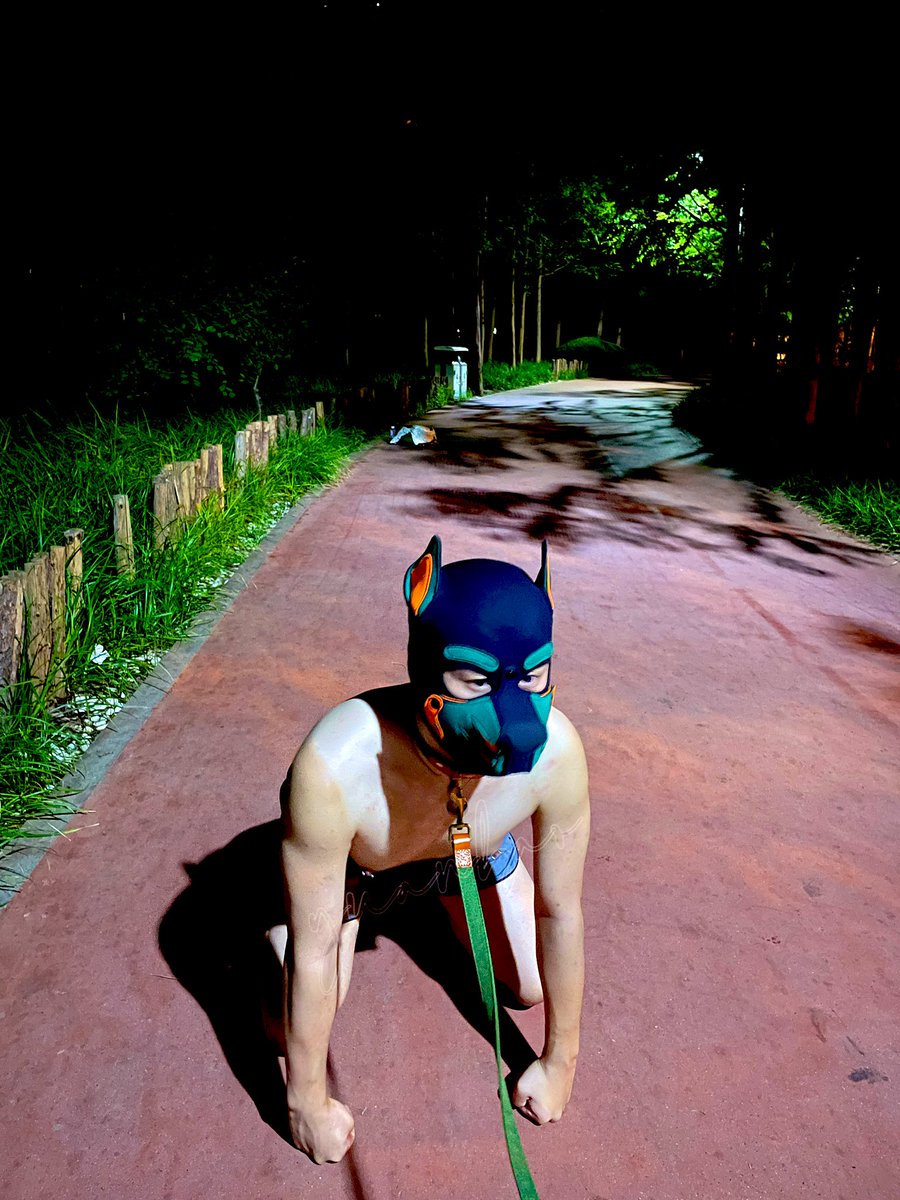 大半夜的狗子非吵着要出去玩~就被主人拉到这儿了   旁边车来车往的狗子咋还有点开心嘞~汪汪~~