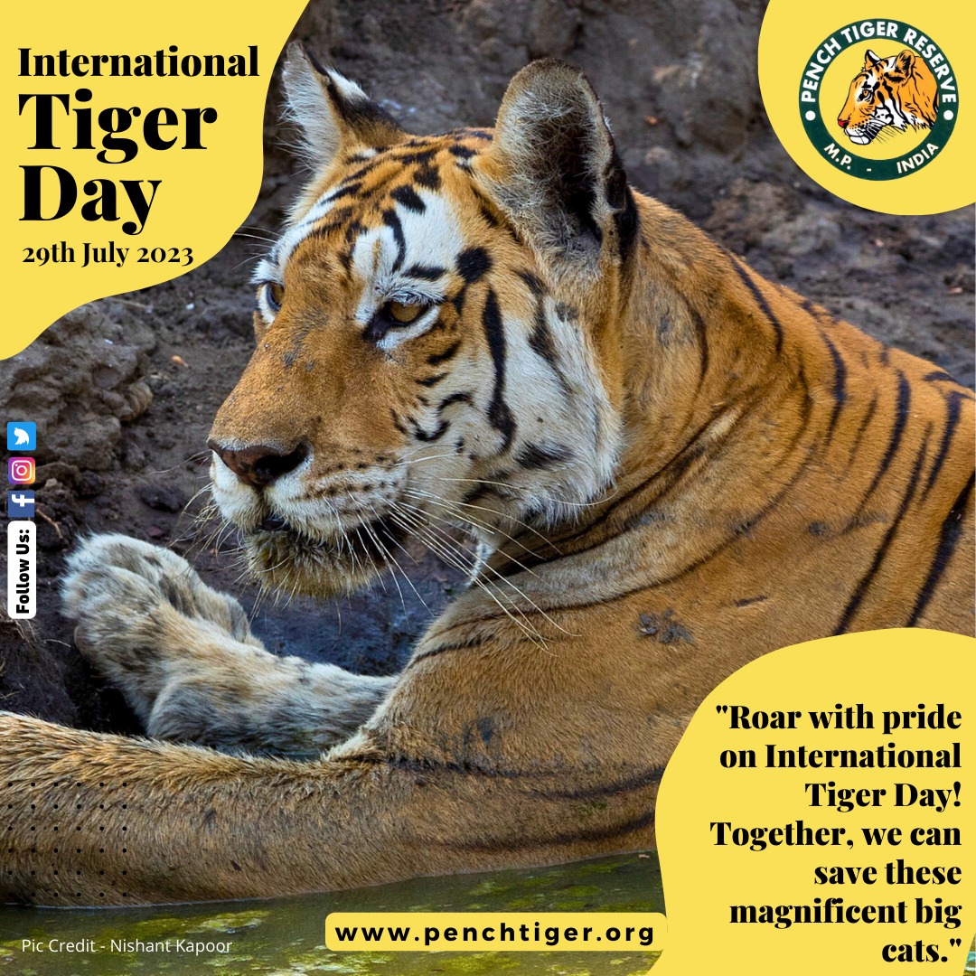 One can measure the greatness and moral progress of a nation by looking at how it treats its animals. The #ROAR of
these majestic creatures is getting louder. Together, we must ensure a
#future where #tigers thrive in the wild.

#GlobalTigerDay #SaveOurTigers
#ConservationMatters