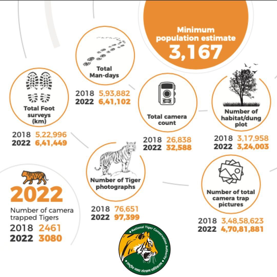 foralumni's tweet photo. Tigers…. Flourishing. 
It’s ‘International Tiger Day’
Kudos for the effort by Foresters along with the public https://t.co/UayAIqNUBK