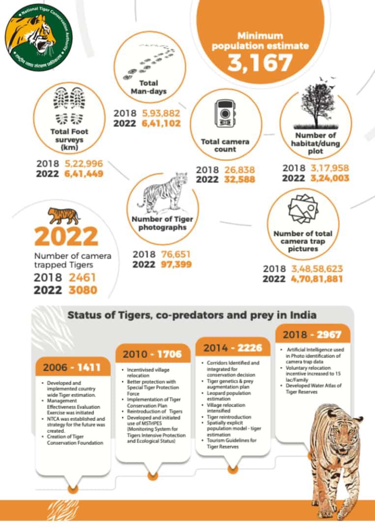 foralumni's tweet photo. Tigers…. Flourishing. 
It’s ‘International Tiger Day’
Kudos for the effort by Foresters along with the public https://t.co/UayAIqNUBK