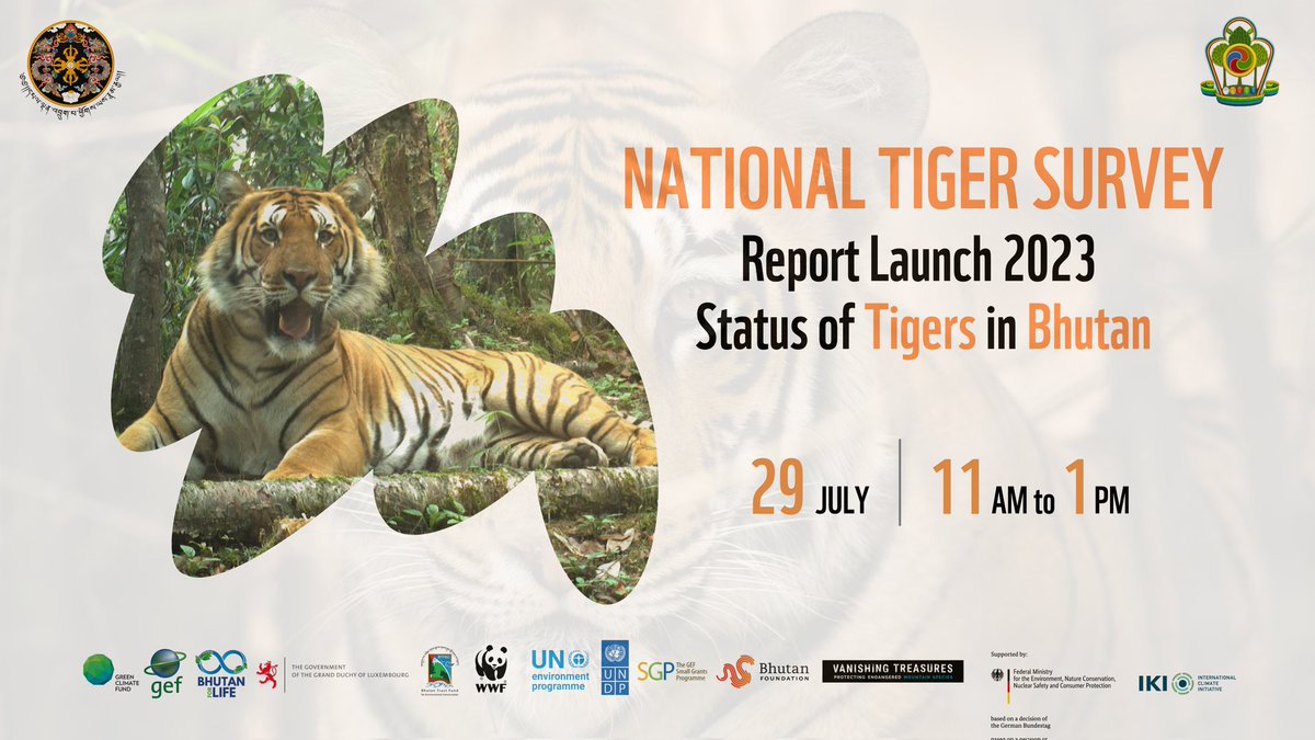 Global Tiger Day is here 🐅 and we are less than three hours away from National Tiger Survey Report Launch. Catch us live at facebook.com/ncdians/live_v… See you all in 3 hours 🙌 #Tigerconservation