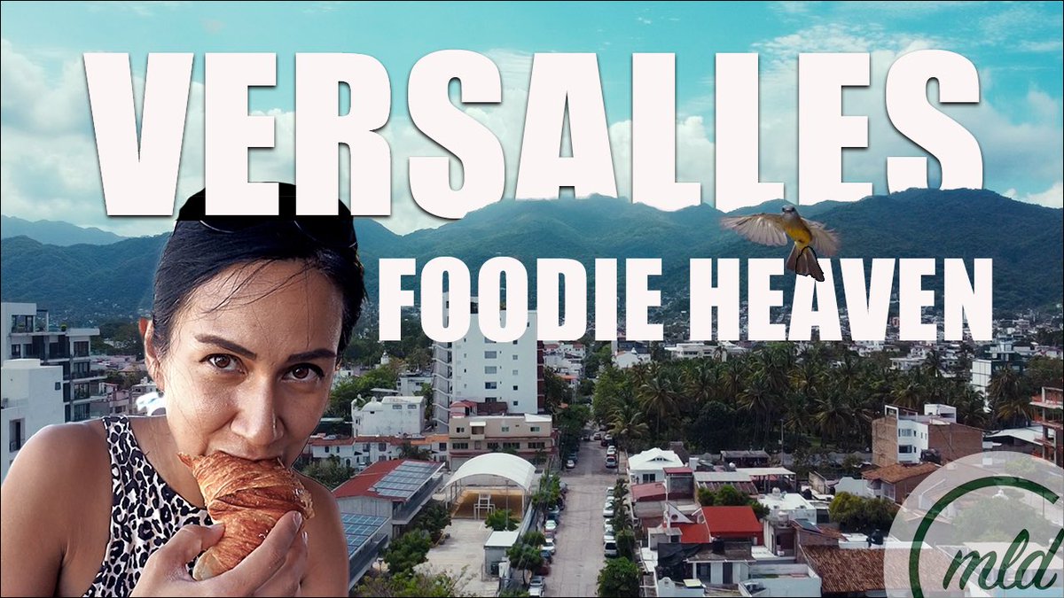 IS THIS THE BEST FOODIE NEIGHBORHOOD IN PUERTO VALLARTA? 🥐 COLONIA VERSALLES (ALSO FREE EXERCISE)

#vlog #youtube #mexico #puertovallarta #travel

youtu.be/eM7IaKR13IE