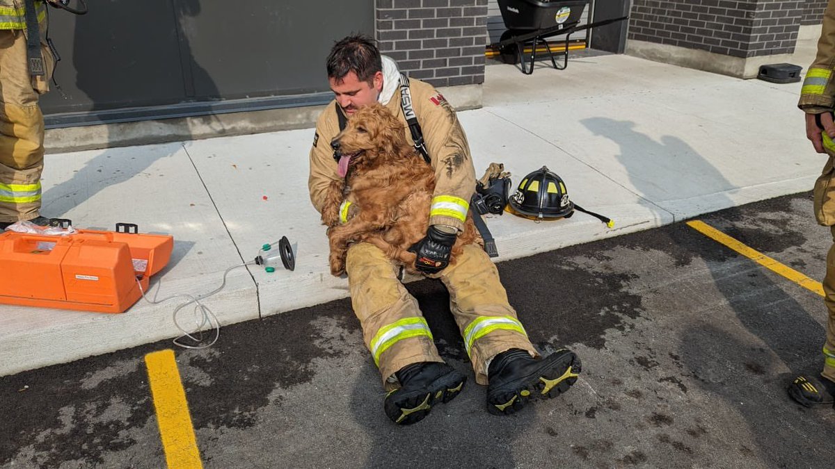 OttFire's tweet image. Firefighters successfully rescued/resuscitated a dog &amp;amp; a cat from a condo unit that had a kitchen 🔥 in the 200 block of Greensway Ave in Vanier. We responded at approx 17:13 &amp;amp; the first crew arrived in 3 min &amp;amp; found the kitchen on🔥 in a ground flr unit &amp;amp; it had extended to the…