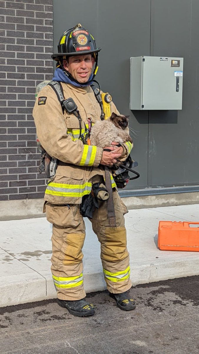 OttFire's tweet image. Firefighters successfully rescued/resuscitated a dog &amp;amp; a cat from a condo unit that had a kitchen 🔥 in the 200 block of Greensway Ave in Vanier. We responded at approx 17:13 &amp;amp; the first crew arrived in 3 min &amp;amp; found the kitchen on🔥 in a ground flr unit &amp;amp; it had extended to the…