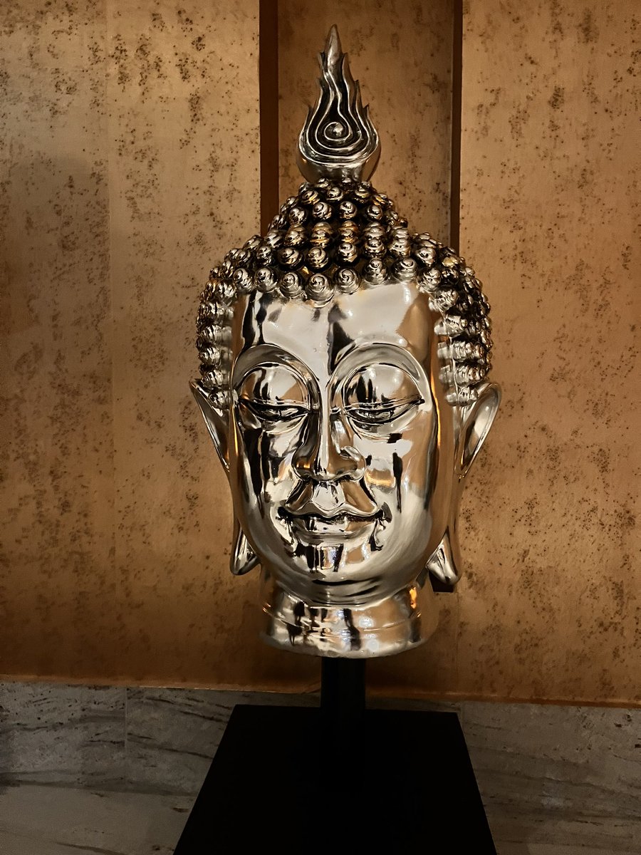 Shivi Nathan tweet media