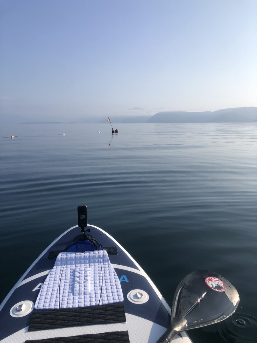 JING3939's tweet photo. めっちゃ気持ちいいぜ🥴
新しいデッキパッドめっちゃ調子良い🤟🤟🤟
#SUP
#freestyleSUP
#猪苗代湖 https://t.co/MyPfZAXMZA